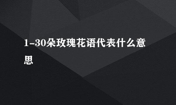 1-30朵玫瑰花语代表什么意思