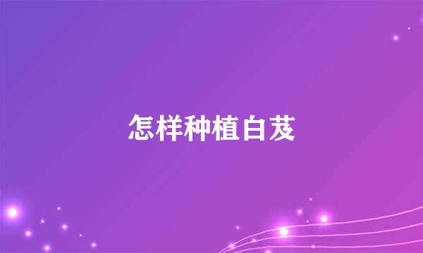 怎样种植白芨