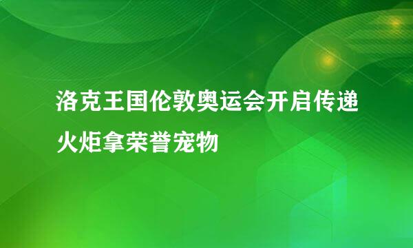 洛克王国伦敦奥运会开启传递火炬拿荣誉宠物