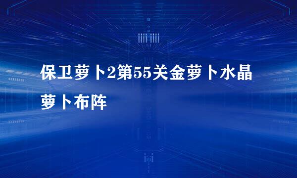 保卫萝卜2第55关金萝卜水晶萝卜布阵