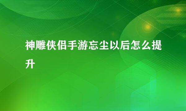 神雕侠侣手游忘尘以后怎么提升