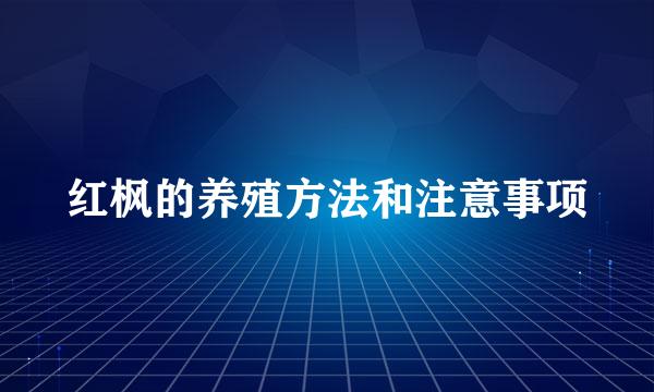 红枫的养殖方法和注意事项