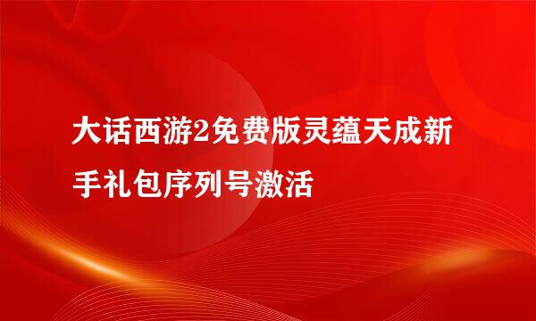 大话西游2免费版灵蕴天成新手礼包序列号激活