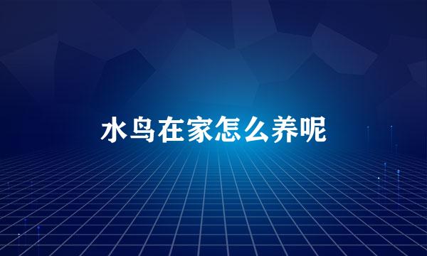 水鸟在家怎么养呢