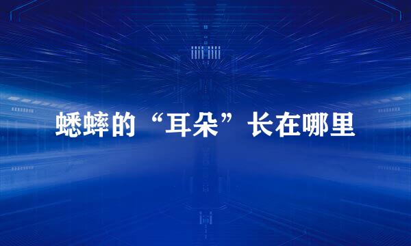蟋蟀的“耳朵”长在哪里