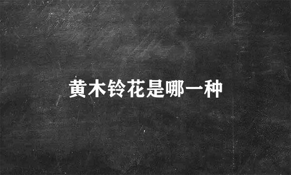 黄木铃花是哪一种