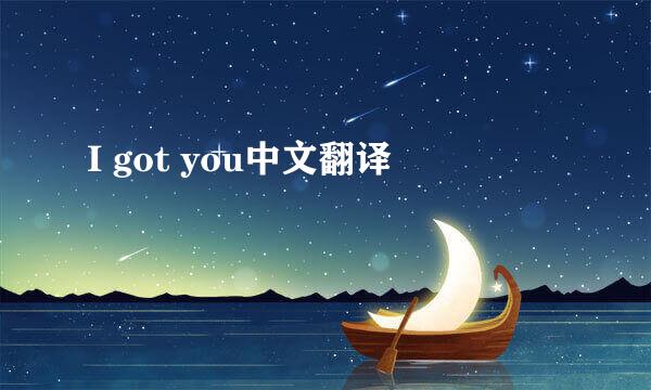I got you中文翻译