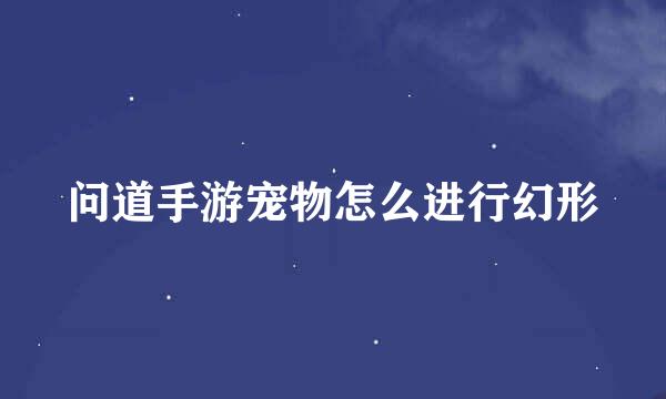 问道手游宠物怎么进行幻形