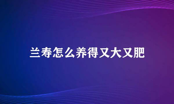 兰寿怎么养得又大又肥