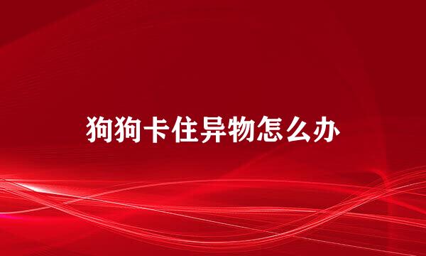 狗狗卡住异物怎么办