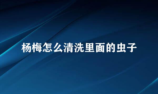 杨梅怎么清洗里面的虫子