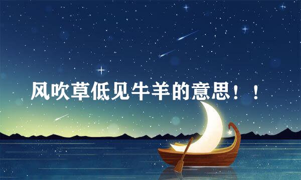 风吹草低见牛羊的意思！！