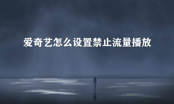 爱奇艺怎么设置禁止流量播放