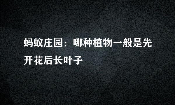 蚂蚁庄园：哪种植物一般是先开花后长叶子