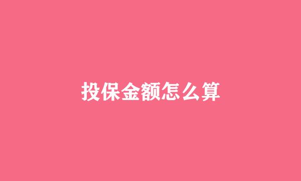 投保金额怎么算