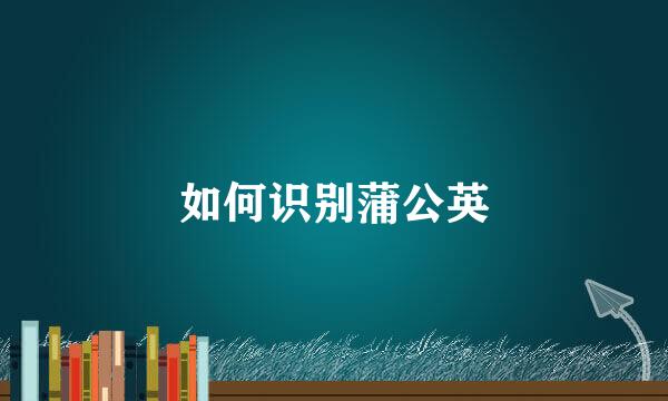 如何识别蒲公英