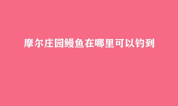 摩尔庄园鳗鱼在哪里可以钓到