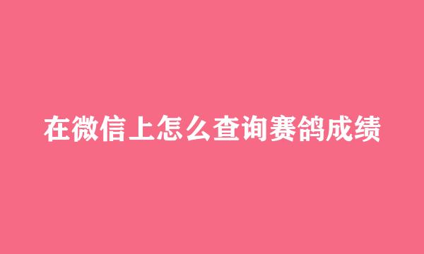 在微信上怎么查询赛鸽成绩