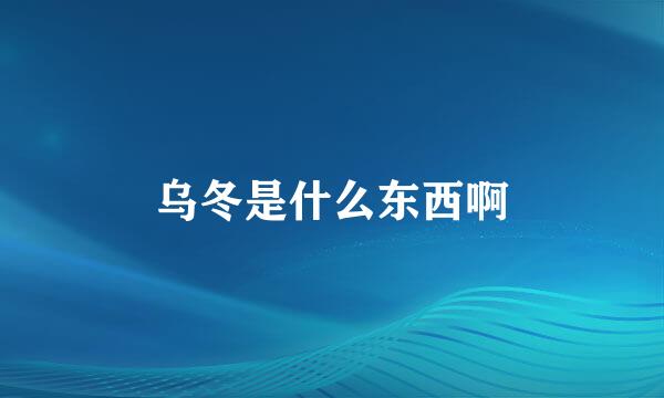 乌冬是什么东西啊
