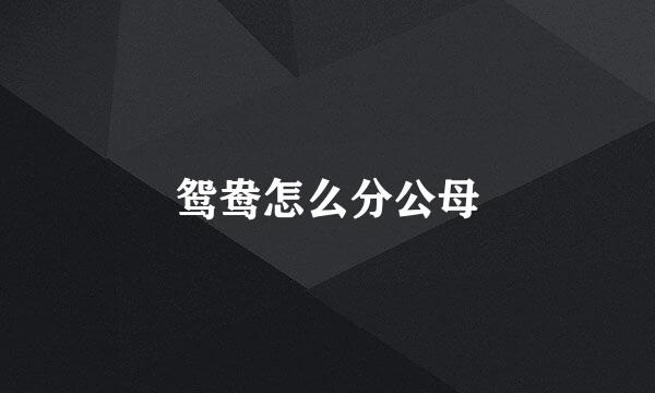 鸳鸯怎么分公母