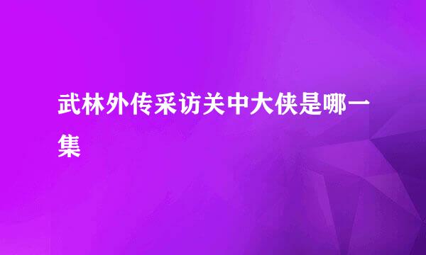 武林外传采访关中大侠是哪一集