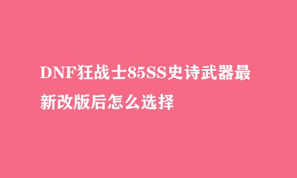 DNF狂战士85SS史诗武器最新改版后怎么选择