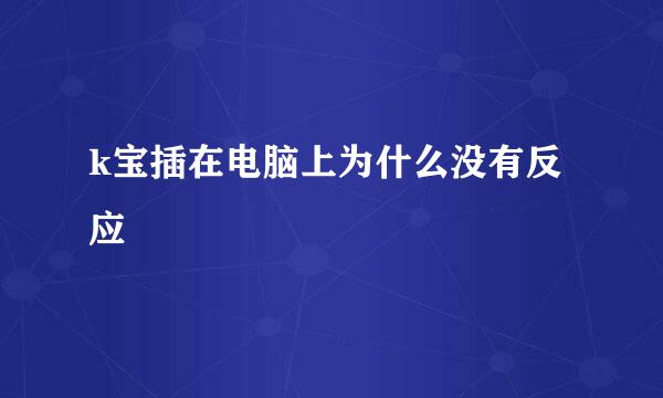 k宝插在电脑上为什么没有反应
