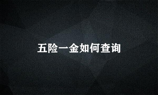 五险一金如何查询