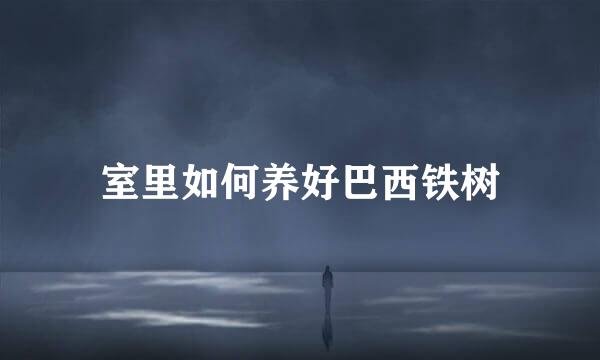 室里如何养好巴西铁树