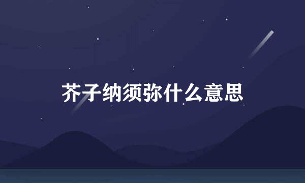 芥子纳须弥什么意思