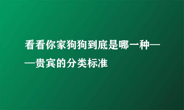 看看你家狗狗到底是哪一种——贵宾的分类标准