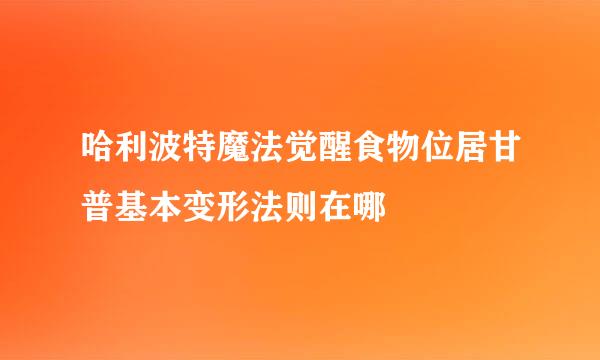 哈利波特魔法觉醒食物位居甘普基本变形法则在哪