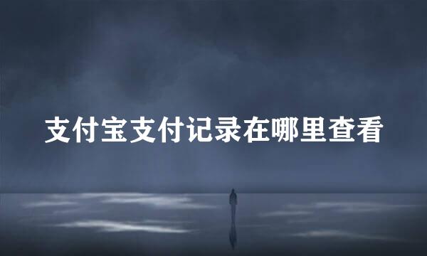 支付宝支付记录在哪里查看