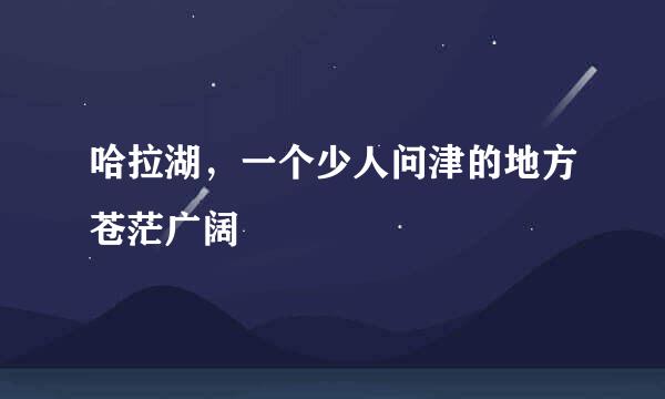 哈拉湖，一个少人问津的地方苍茫广阔