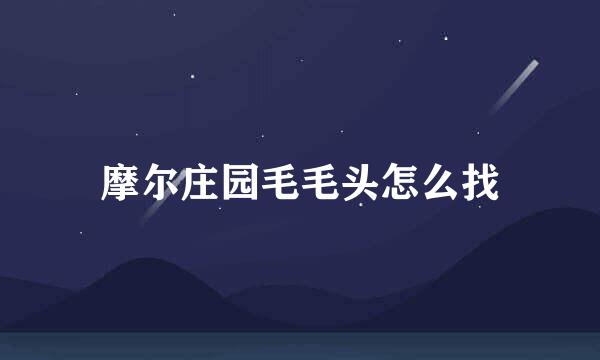 摩尔庄园毛毛头怎么找
