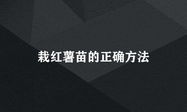 栽红薯苗的正确方法
