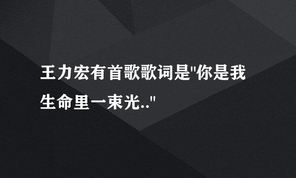王力宏有首歌歌词是
