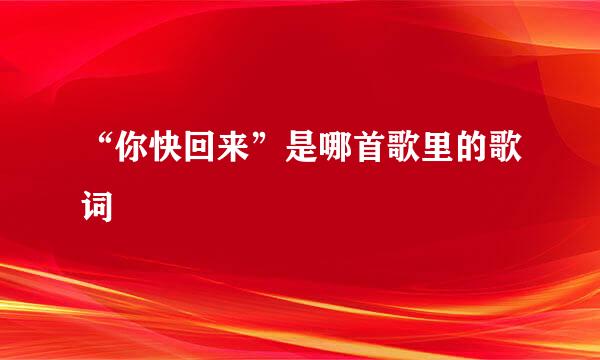 “你快回来”是哪首歌里的歌词