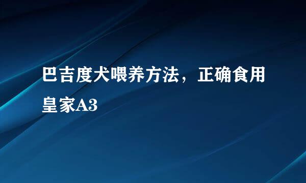 巴吉度犬喂养方法，正确食用皇家A3