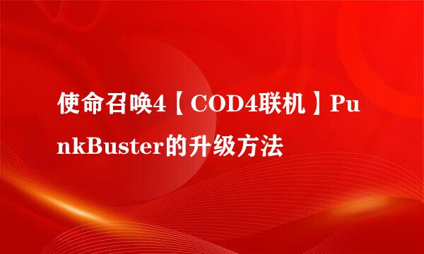 使命召唤4【COD4联机】PunkBuster的升级方法