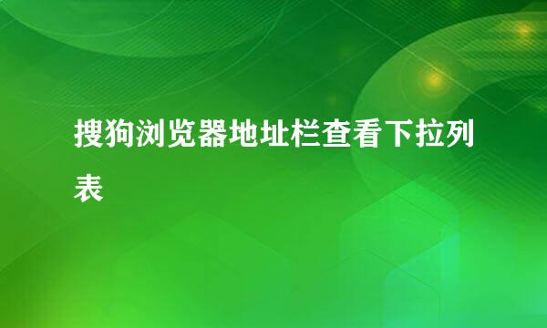 搜狗浏览器地址栏查看下拉列表
