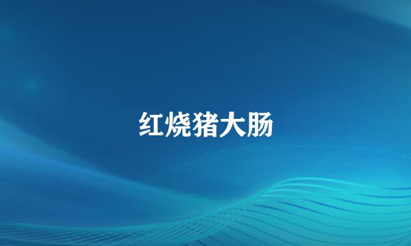 红烧猪大肠