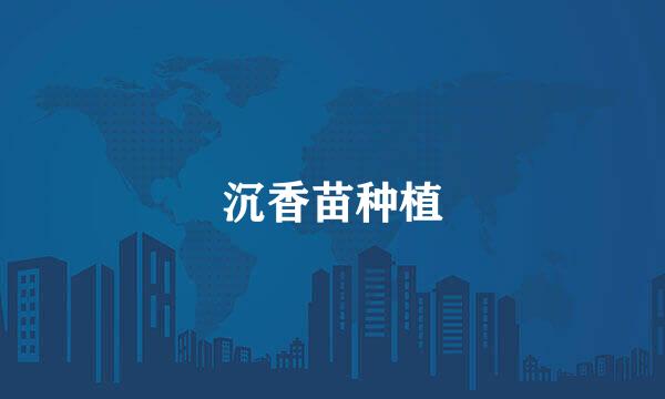 沉香苗种植