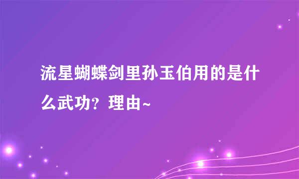 流星蝴蝶剑里孙玉伯用的是什么武功？理由~
