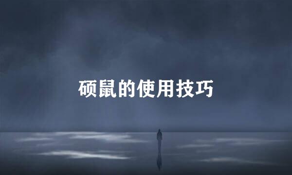硕鼠的使用技巧