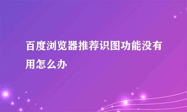 百度浏览器推荐识图功能没有用怎么办