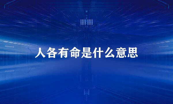 人各有命是什么意思