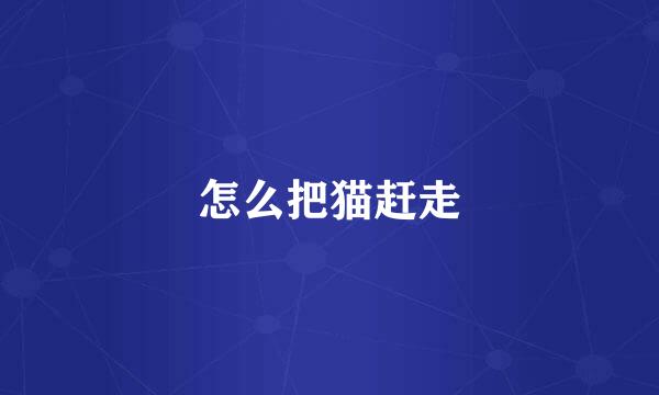 怎么把猫赶走