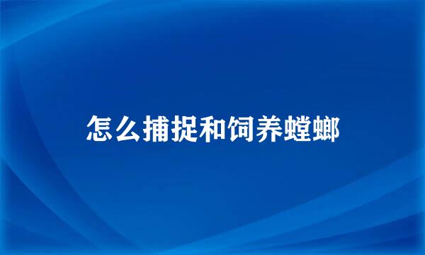 怎么捕捉和饲养螳螂