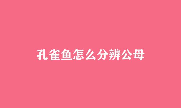 孔雀鱼怎么分辨公母
